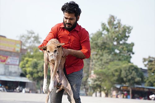 dog Rescue